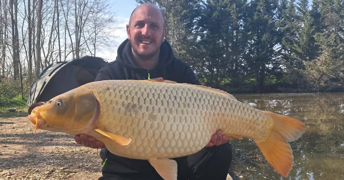 Carpe claire aux reflets dorés tenue devant l’étang