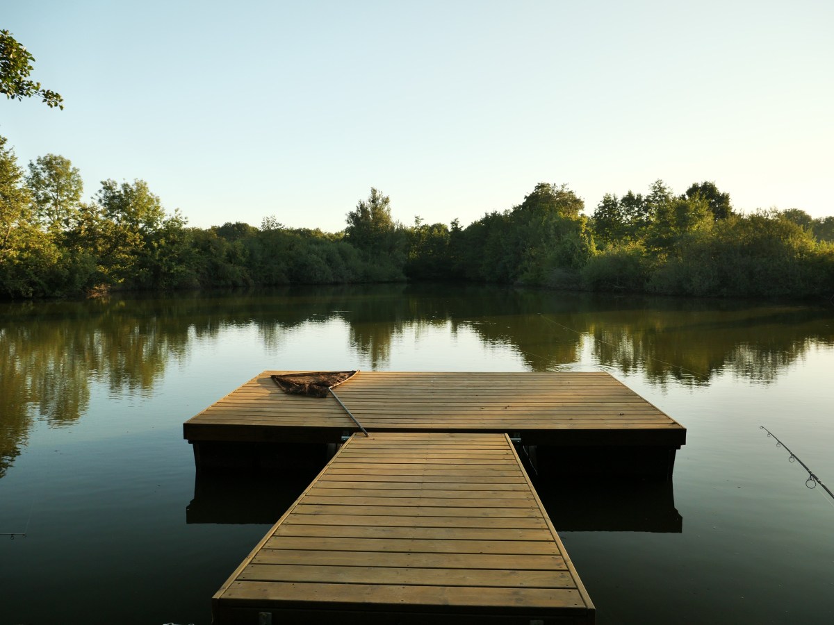 Vue de l’étang Carp’Adventure depuis le ponton en bois, face aux berges arborées